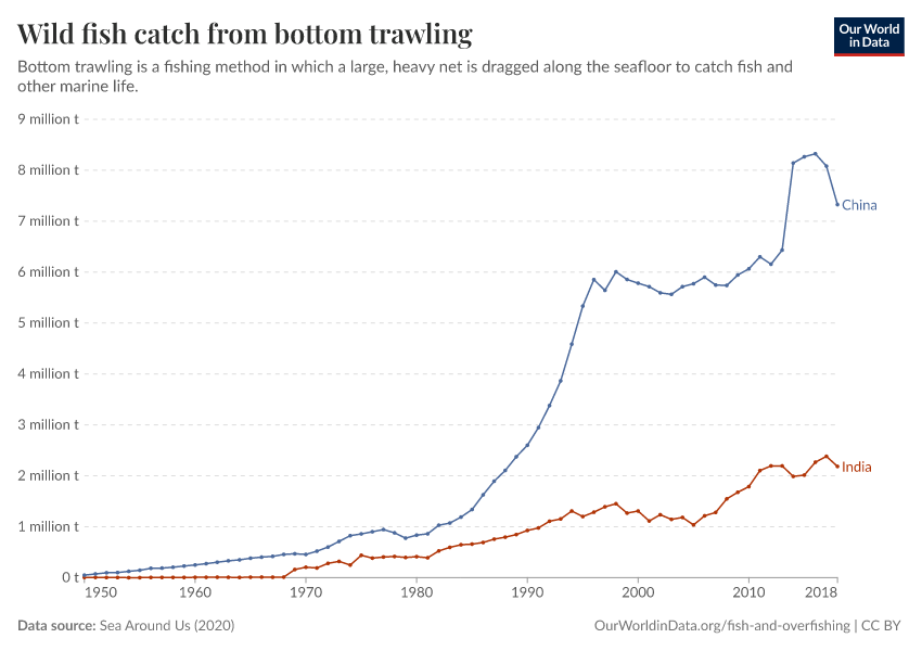 Wild fish catch from bottom trawling