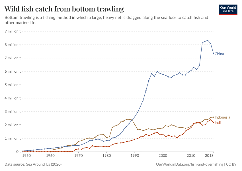 Wild fish catch from bottom trawling