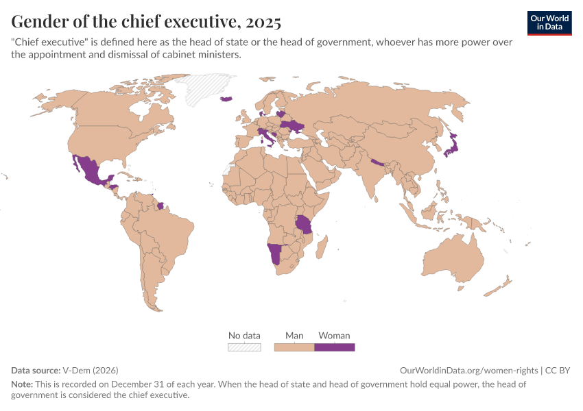 A thumbnail of the "Gender of the chief executive" chart