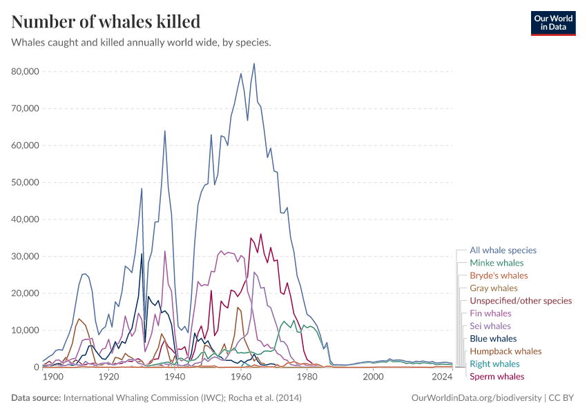 A thumbnail of the "Number of whales killed" chart